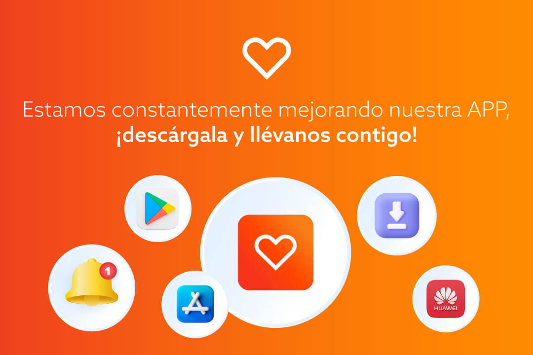 Que tu App sea fácil de usar es clave ¡Tenemos nuevas mejoras en nuestra Aplicación Vida Cámara!