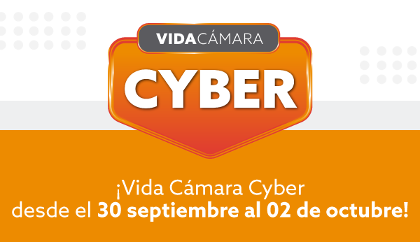 Vida Cámara Cyber Oct 2024